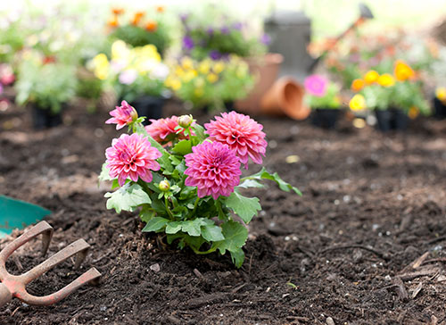 Seasonal lawn and yard services in Devon, PA